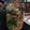 El cooksnap de Carla De Abreu cuando hizo Berenjena al Escabeche #lacocinadegiri.