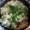 El cooksnap de Maria Cristina Frigerio cuando hizo Fideos con brócoli.