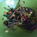 Cooksnap dari khomsiyatun untuk resep Tumis kangkung pete