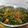 pinky makhija का कुकस्नैप जब उन्होंने स्पाइसी मसाला ब्रोकोली आलू की सब्ज़ी (spicy masala broccoli aloo ki sabzi recipe in Hindi) बनाया था।