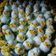 صورة من 🎀👩‍🍳 بنت الإمارات 👩‍🍳🎀 ، شاركها بعد تجربة وصفة البيض المسلوق بالجبن للأطفال Boiled Eggs with cheese for kids