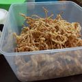 Cooksnap dari bartiana sari untuk resep Jamur enoki crispy ala ta'wan