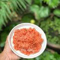 Cooksnap của Rose Truong khi họ làm theo món Xôi gấc mặn bằng nồi cơm điện