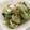 Psyche Chang 的 燙大陸妹 cooksnap