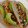 El cooksnap de Lion cuando hizo Tacos de pescado.