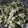 Cooksnap dari Shenybundanyaadhi untuk resep Popcorn Karamel Pandan