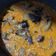Cooksnap dari Risma Okta Fiyanti untuk resep Gulai Tunjang/Gulai Kikil Padang