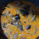 Cooksnap dari Risma Okta Fiyanti untuk resep Gulai Tunjang/Gulai Kikil Padang
