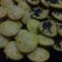 Cooksnap dari Wanti Ummu Nunauts untuk resep Kue cubit