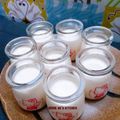 Cooksnap của Annie Vo khi họ làm theo món Sữa chua