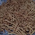 Cooksnap dari Widi Widi untuk resep Cheese stick renyah gurih keju banget