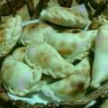 El cooksnap de gabybilo cuando hizo Empanadas de pollo al verdeo "Las preferidas de mi hijo ♥️".