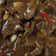 Cooksnap dari erlita citra untuk resep Beef blackpapper (sapi lada hitam)
