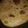 शशि केसरी का कुकस्नैप जब उन्होंने मारवाडी बेसन प्याज़ का पराठा (( marwari besan pyaz ka paratha recipe In Hindi) बनाया था।