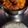 Sushmita Chakraborty's cooksnap of when they made পাঠার মাংসের ঝোল । (pathar mangsher jhol recipe in Bengali).