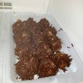 Cooksnap dari Lady Diana untuk resep Choco balls #PR_olahancoklat