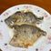 bling bling ching 的 乾煎魚 cooksnap