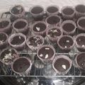 Cooksnap dari yunita untuk resep Cupcake Brownies Panggang