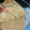 Iiyah Mwithi's cooksnap of when they made How to prepare soft layered chapatis #themechallenge.
