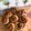 Cooksnap dari Sonya Ongkosandjojo untuk resep Cinnamon Roll empuk dan lembut
