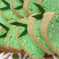 Cooksnap dari Tri Prastyawati untuk resep Bolu Pandan