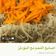 صورة من -Hamza Al Tayyar، شاركها بعد تجربة وصفة سلطة المعكرونة (*-^)