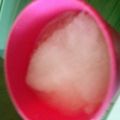 Karenyse Williams's cooksnap of when they made Fresh Lemon Slushy.