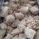 Mital Chag's cooksnap of when they made વઘારેલી ઈડલી (Vaghareli Idli Recipe In Gujarati).