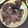 صورة من ام ماريا ، شاركها بعد تجربة وصفة كوتلات مشويين طريين 🥩🥩🥩