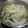 潘俊霖的(簡單料理) 的 蒲瓜排骨湯 簡單夏日湯品 cooksnap