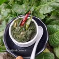 Tandra Nath's cooksnap of when they made পালং শাক ভর্তা (palang saag bharta recipe in Bengali).