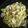 Cooksnap dari I F A untuk resep Seblak simple