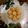 Mamtaj Begum's cooksnap of when they made মশালা রায়তা(masala raita recipe in Bengali).