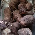 El cooksnap de Cookpadinos cuando hizo Serenata de Bacalao.