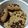 El cooksnap de Camila Lopez cuando hizo Galletas de avena y chips de chocolate.