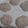 El cooksnap de Florencia Perez cuando hizo Galletitas de avena y manzanas.