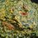 Kiran Solanki's cooksnap of when they made મેથીનો લોટ વાળુ શાક(methinu lot vadu shak recipe in Gujarati).