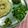 Darshana Patel's cooksnap of when they made Green Garlic cubes.