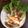 รูป Cooksnap ของ Panadda Swasdiphanich เมื่อเขาทำ เครปไข่ขาวไส้ไก่ (สูตรคลีน)