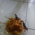 Cooksnap dari Emiliawati Muslimah untuk resep Ayam Suwir Pedas Bumbu Bali