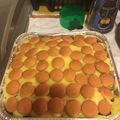 2008alonzo's cooksnap of when they made Strawberry/Banana Pudding Night.