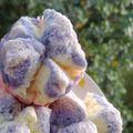 Cooksnap dari DahLina untuk resep Bolu Kukus Mekar Sprite