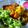Cooksnap dari RAINBOW 🌈 untuk resep Curry Chicken Katsu