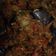 Cooksnap dari Metha Jasmine untuk resep Terong Balado Udang Rebon