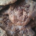 Cooksnap dari ika_ is_me untuk resep Cookies Crunchy Chocochips