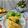 Cooksnap dari Rhinie’s Kitchen untuk resep Martabak Tahu Makaroni #seninsemangat