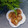 Cooksnap dari Susan_Miniarti untuk resep Ote-Ote khas Surabaya