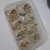Cooksnap dari Afifah umee untuk resep Dimsum Ayam Udang