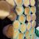 El cooksnap de vanesa cuando hizo Cupcakes (24 unidades aprox).
