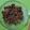 Naheed Baig's cooksnap of when they made Kaly Chany ki ChaatBlack Chickpea Chaat.